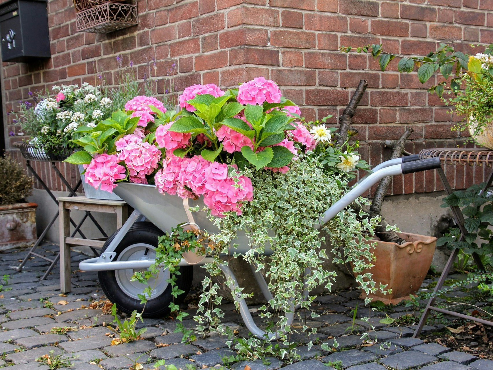 So gestaltet ihr euren Garten neu RADIO 7