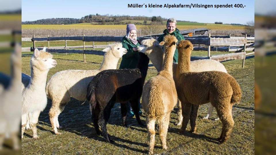 Müllers kleine Alpakafarm