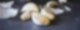 Knoblauch
