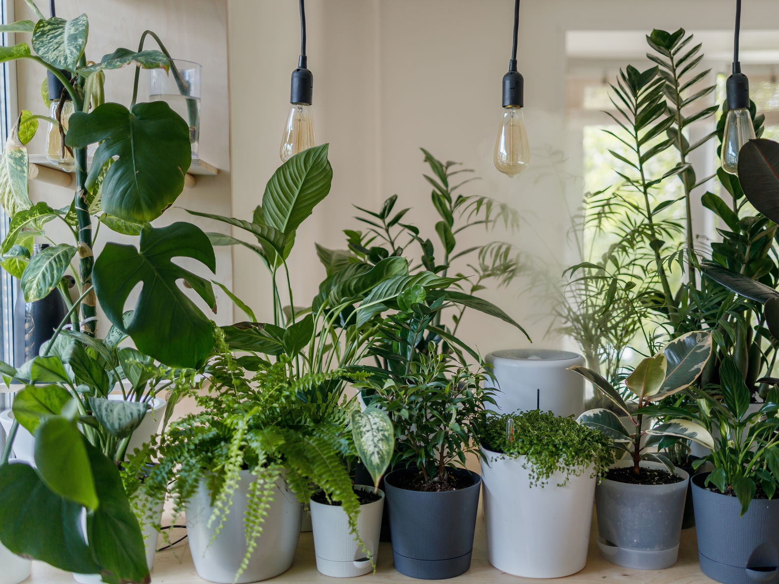 Trend: "Urban Jungle" | RADIO 7