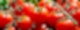 Tomaten