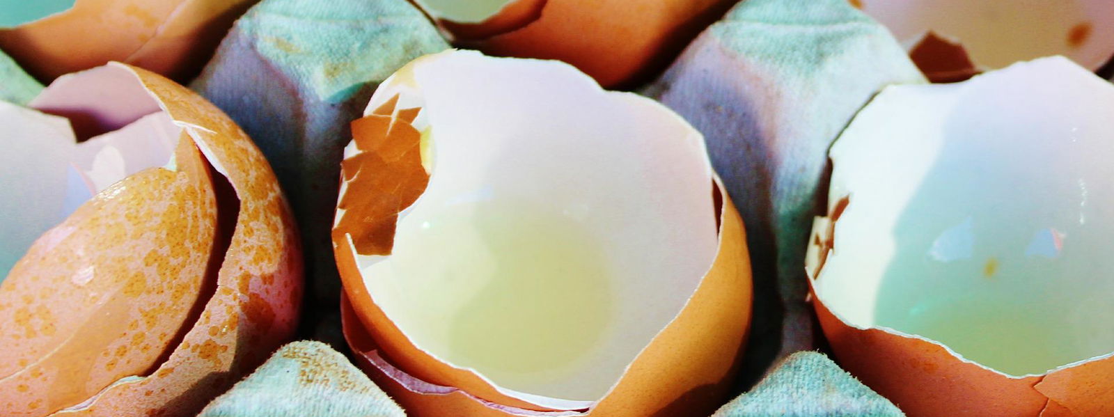 Lifehack: Dnger aus Eierschalen | RADIO 7