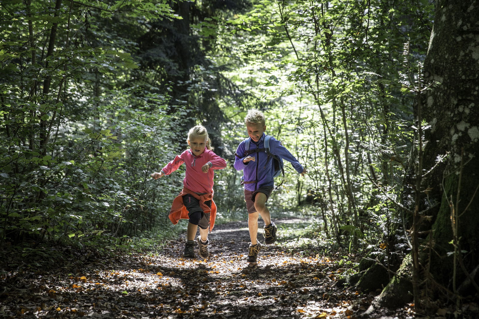 Traufgänge - Traufgängerle Hexenküche - Kinder im Wald 
