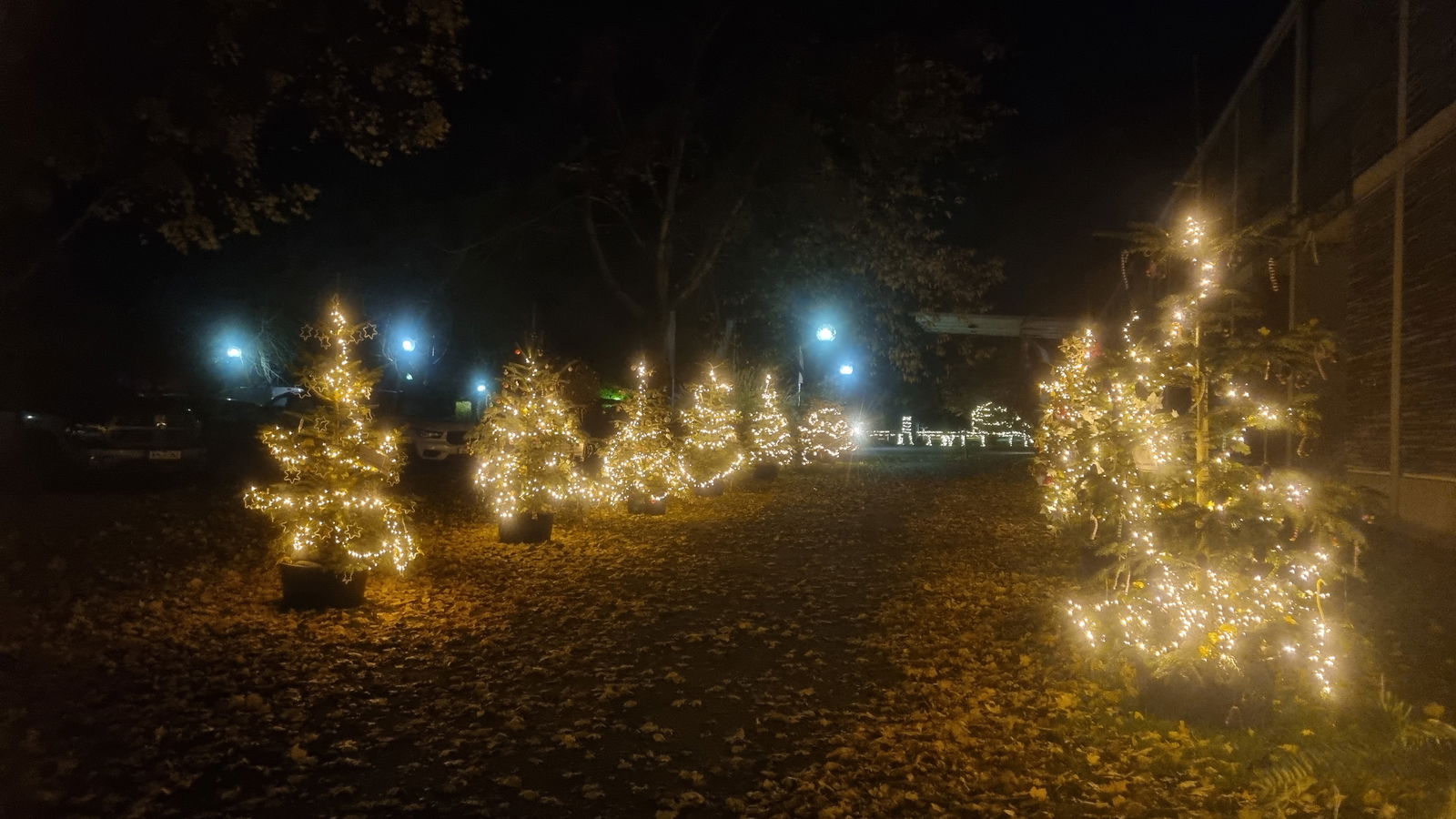 Fürstliches Winterleuchten