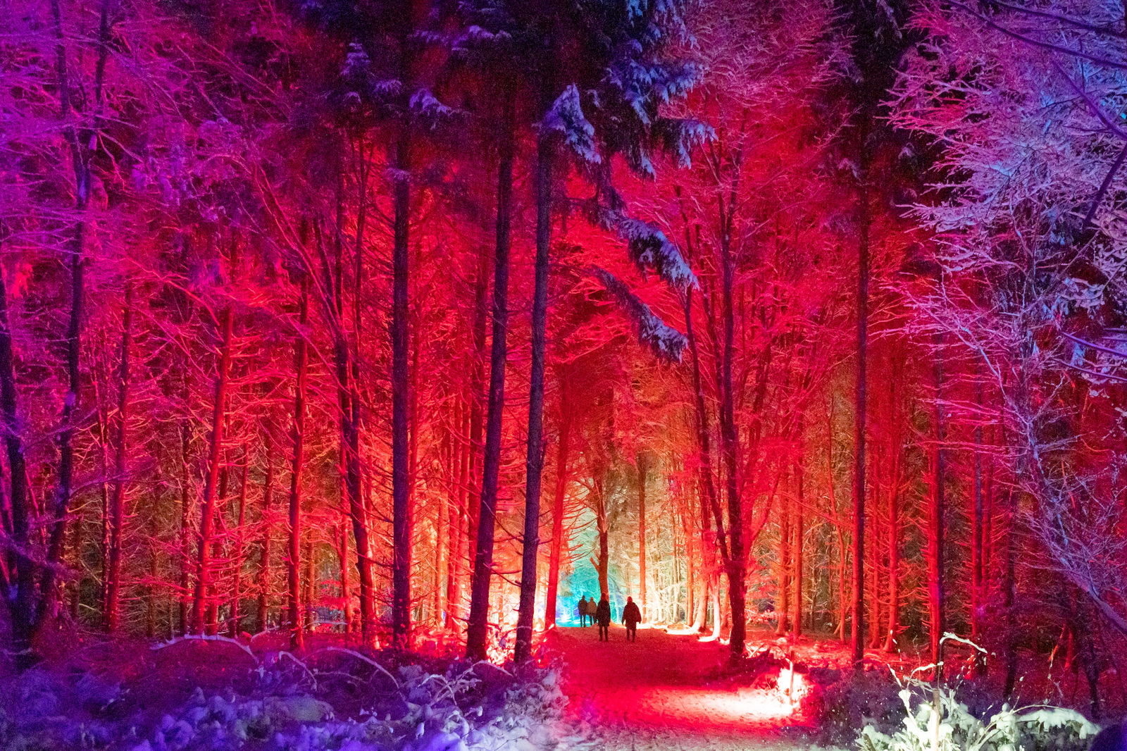 Fürstliches Winterleuchten