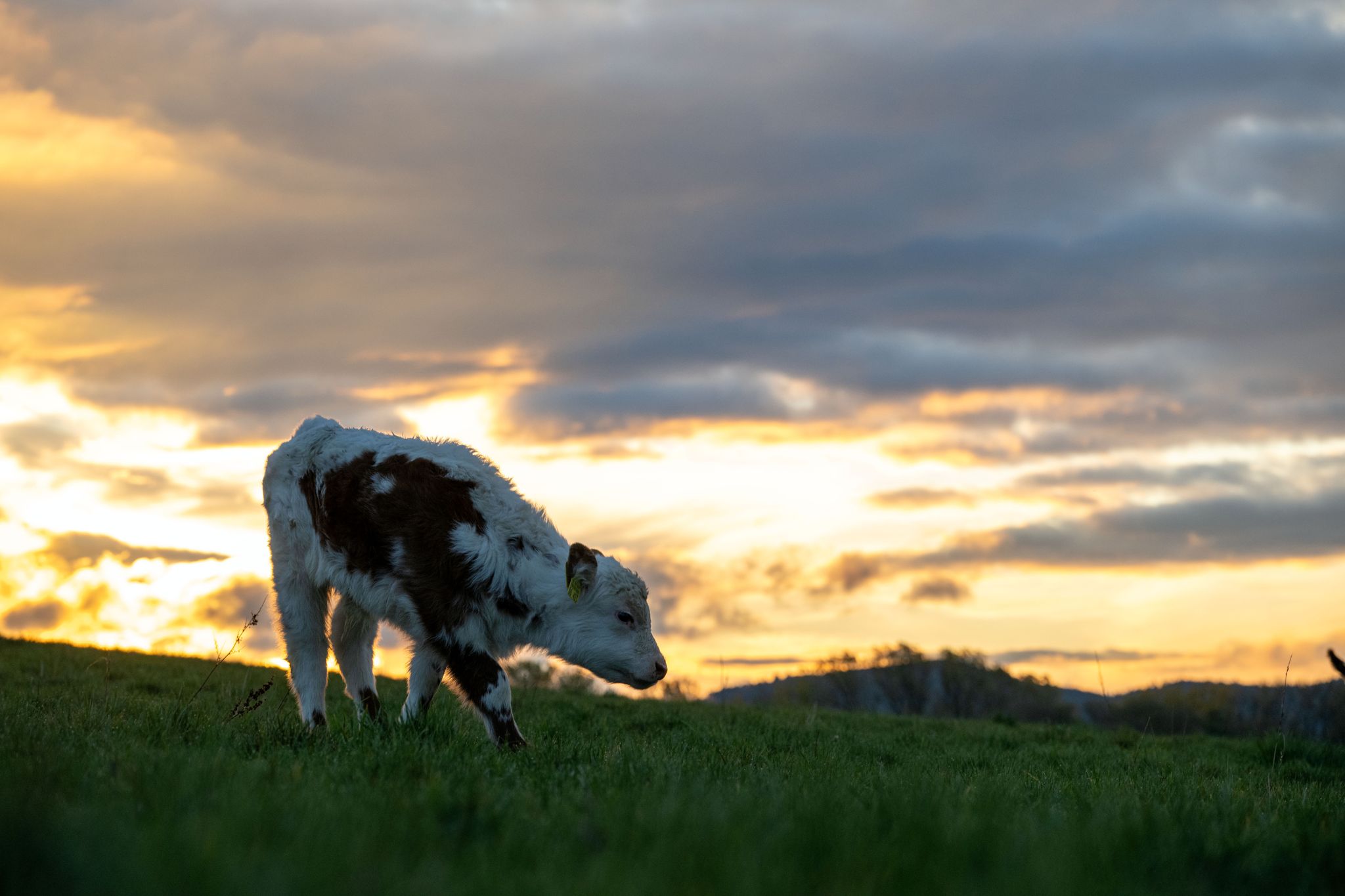 Mildes Herbstwetter Mit Sonne, Wolken Und Regen | RADIO 7