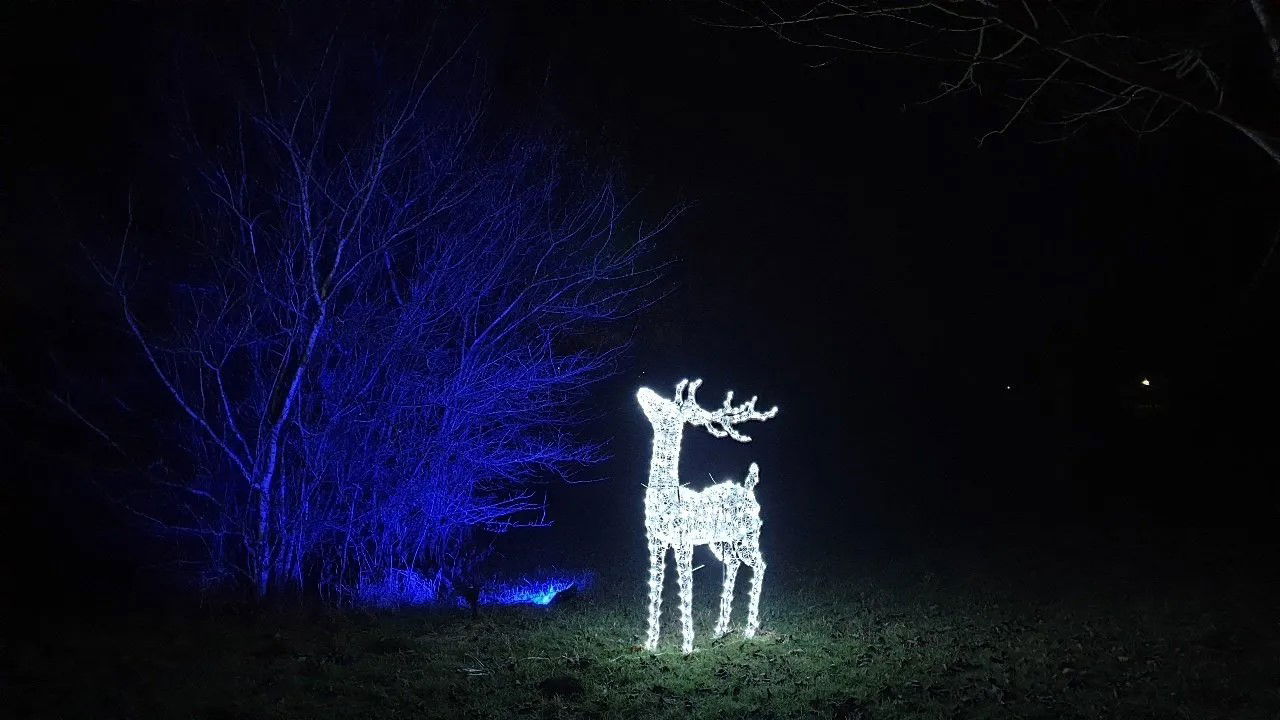 Fürstliches Winterleuchten 2024/25_https://www.winterleuchten-badwaldsee.de/galerie