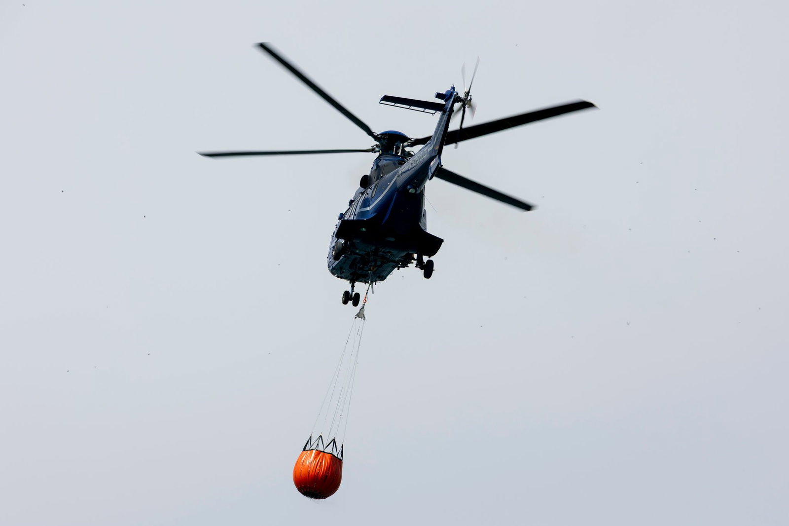 Ein Löschhubschrauber der Bundespolizei fliegt über dem Zeithainer Tagebau und nimmt Wasser auf, um den Waldbrand Gohrischheide zu bekämpfen.