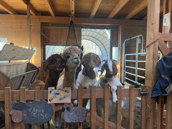 Schloß Schule Wasseralfingen