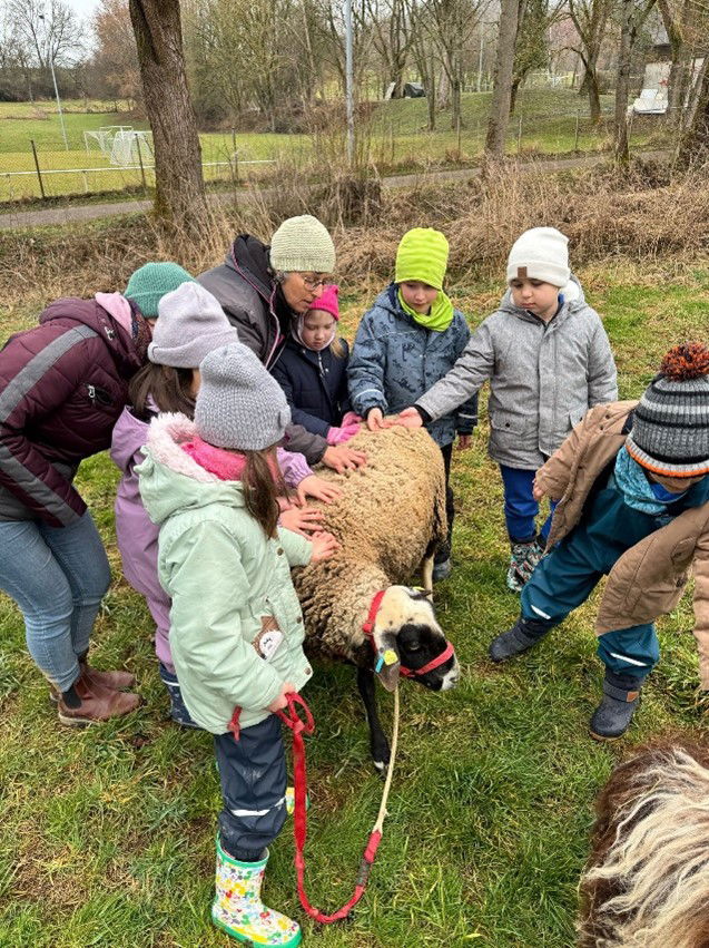 Schloß Schule Wasseralfingen