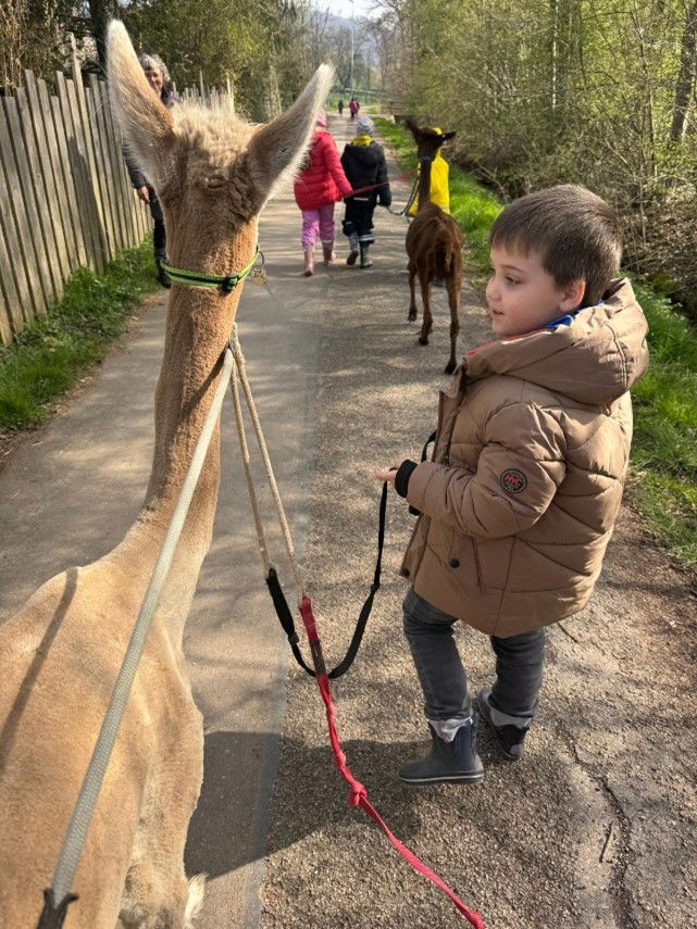 Schloß Schule Wasseralfingen