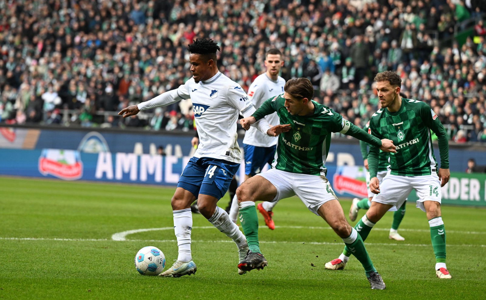 Die TSG 1899 Hoffenheim um Gift Orban (l) setzte sich in beiden Testspielen gegen Werder Bremen um Niklas Stark durch.