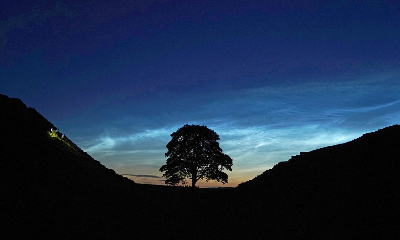 Der Sycamore Gap Tree in England war einst ein beliebtes Fotomotiv. (Archivfoto)