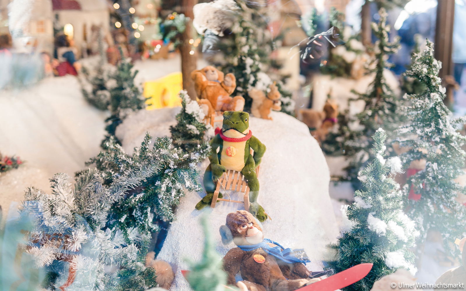 Ulmer Weihnachtsmarkt