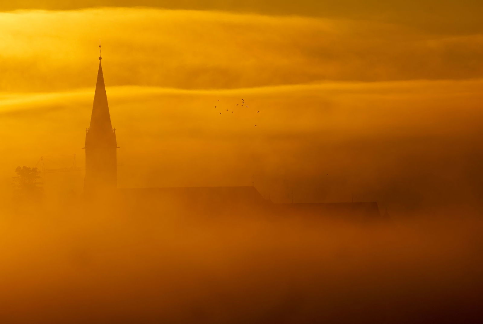 Der Nebel legt sich über Baden-Württemberg. (Symbolbild)