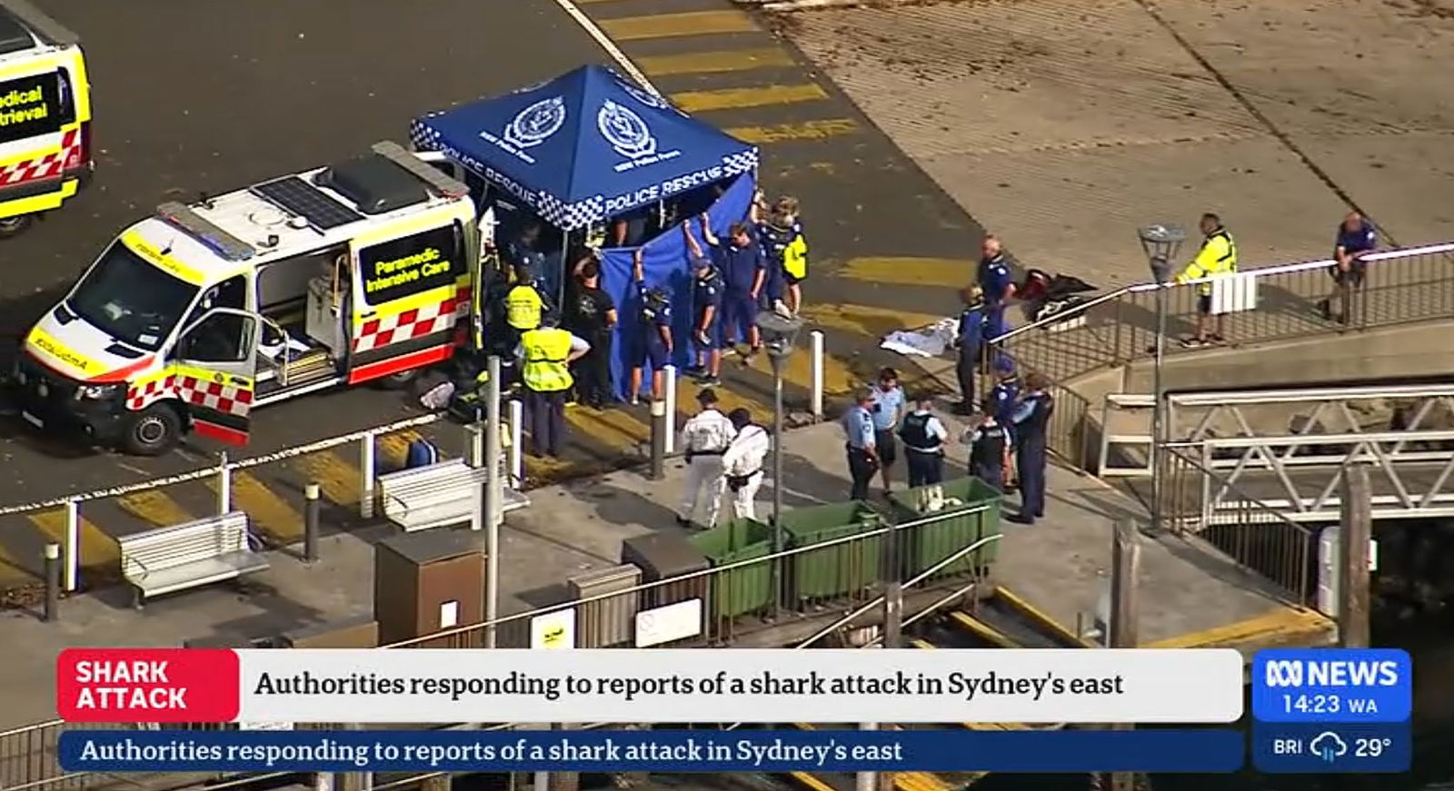 Nach einem mutmaßlichen Haiangriff ist ein Junge in kritischem Zustand.