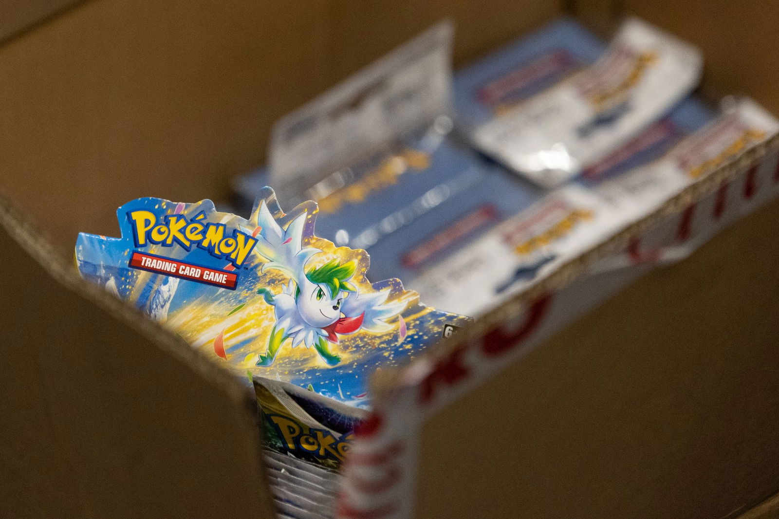 Der Handel mit Pokémon-Sammelkarten hat in den vergangenen Jahren wieder an Bedeutung gewonnen. Seltene Exemplare erzielen teils hohe Preise. (Symbolbild)