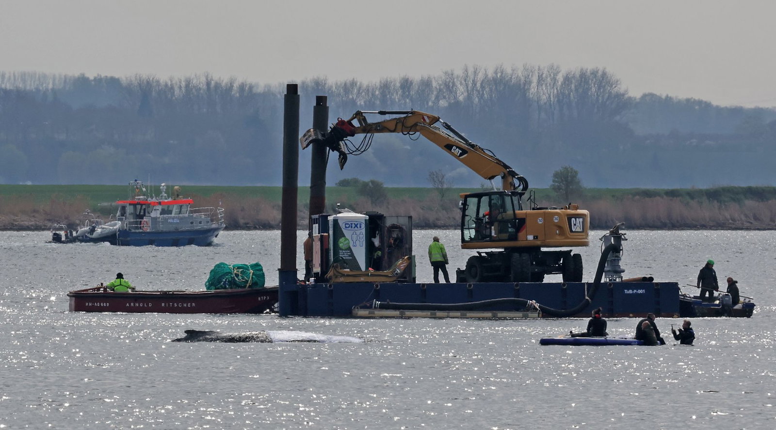 Detaillierte Infos zum Fortschritt der Rettungsaktion gibt es von den Initiatoren nicht.