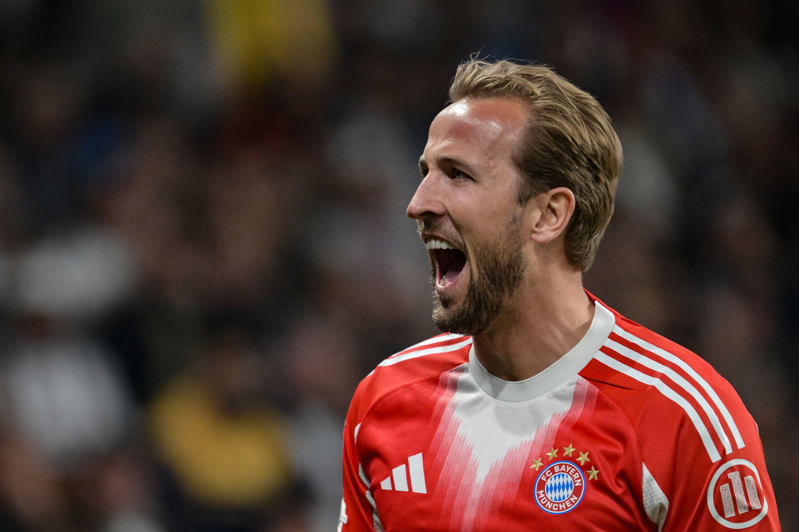 Harry Kane hat zugeschlagen: Der Engländer jubelt nach seinem 2:0.