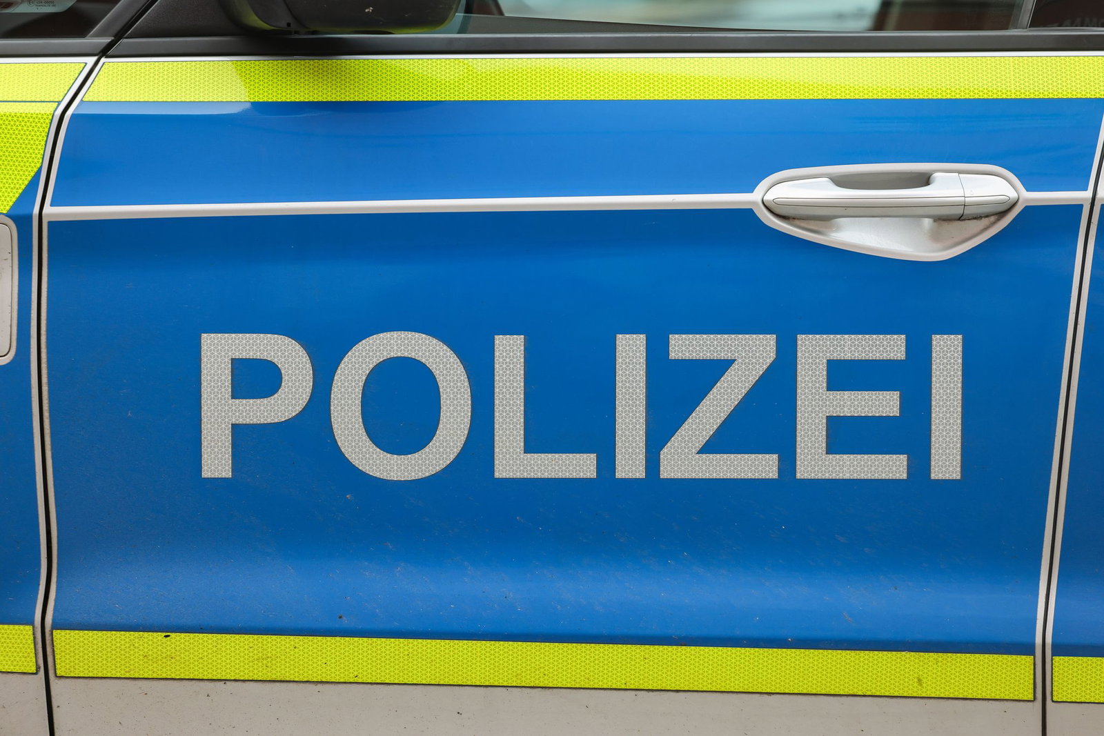 Nach dem Diebstahl eines Papageis in Sindelfingen ermittelt die Polizei. (Symbolbild)