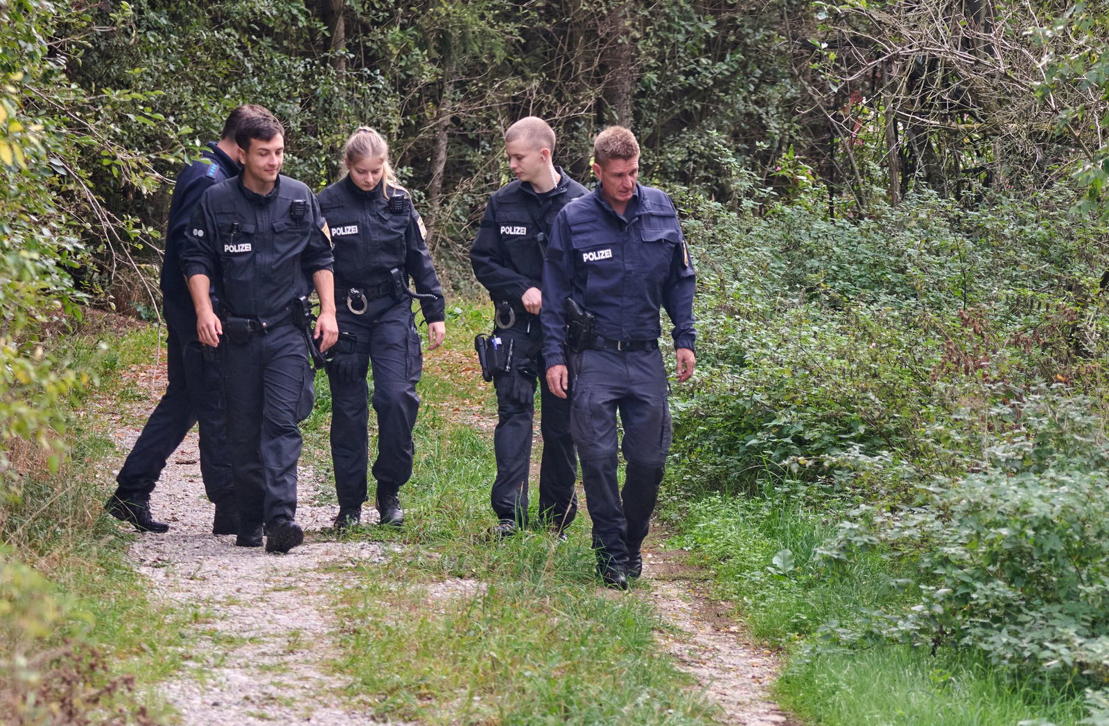 Die Suche nach einem möglichen Puma blieb bisher erfolglos.