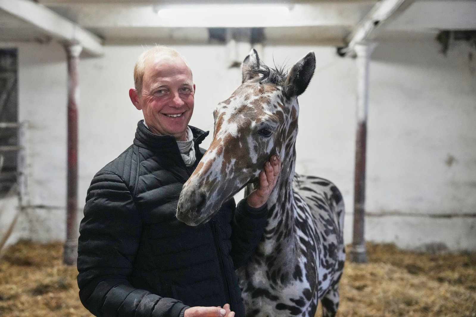 Ein Mann und sein Zebra? Nein: Es ist ein Pferd. 