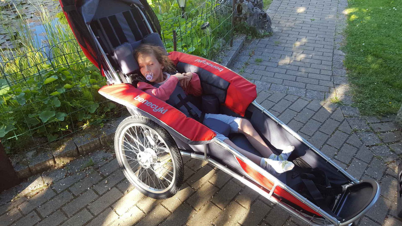 20170527_183033 Cropped.jpg