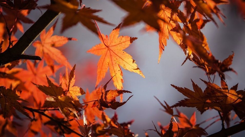 Fit in den Herbst